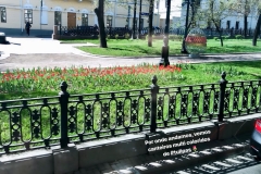 1_WhatsApp-Image-2019-06-12-at-09.45.12