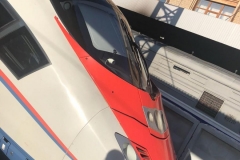 1_WhatsApp-Image-2019-06-12-at-09.45.18