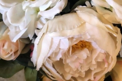 1_WhatsApp-Image-2019-06-12-at-09.47.40-1