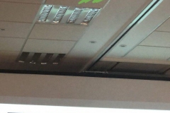 1_1BF16780-38F8-4225-9CE4-93A9626DC5CF